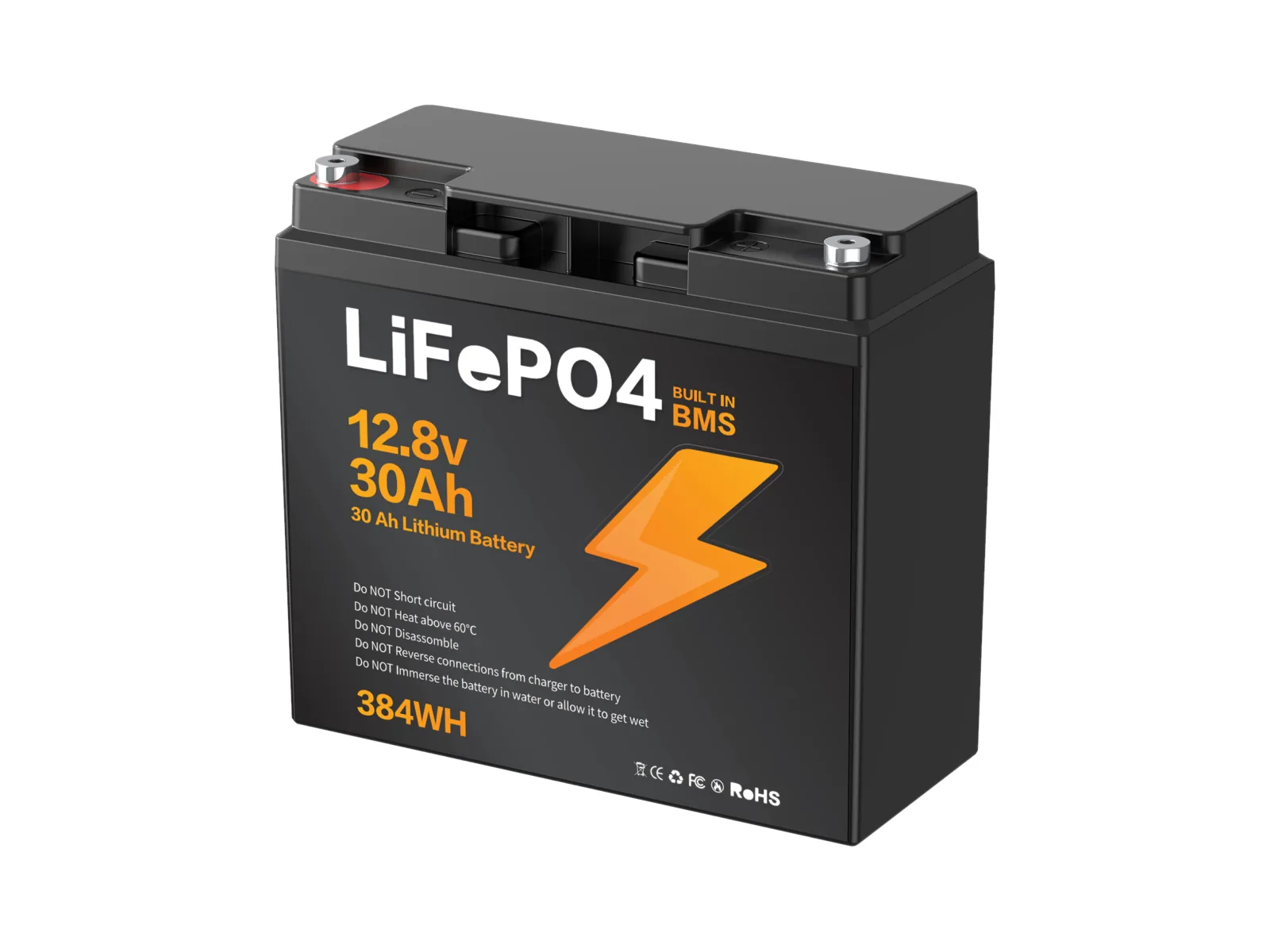 BZ0037-LFPTS-30A LiFePO4-Batterie